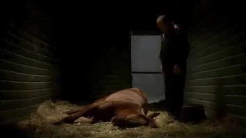 The Sopranos - Pie-O-My Ending Sequence