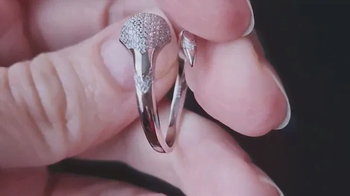 Серебряное кольцо Змея