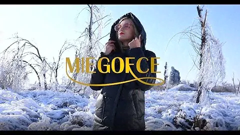 miegofce